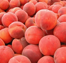 peaches-santa-monica-farmers-market-tour