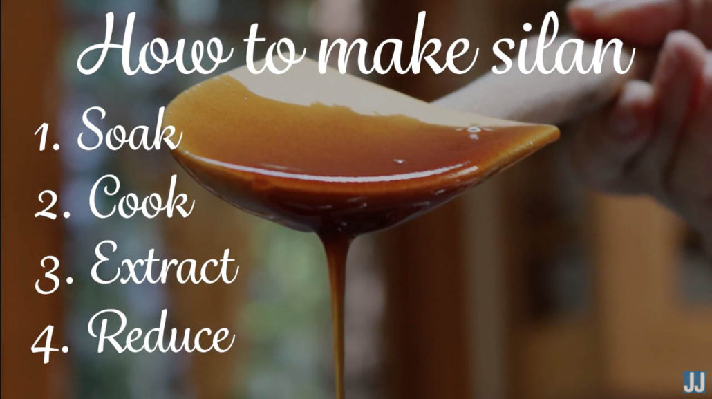 diy-silan-syrup-date-honey